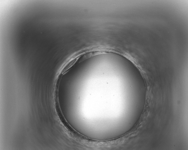 X0000068260007200605051801