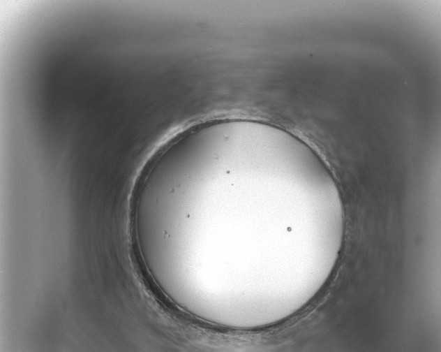 X0000068260008200605051801