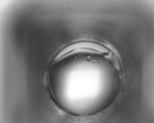 X0000068260009200605051801