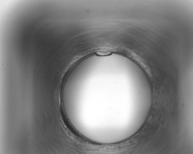 X0000068260011200605051801