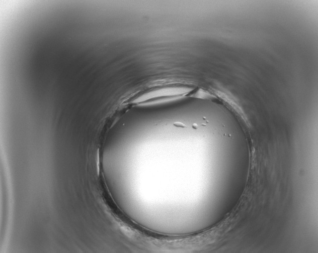 X0000068260013200605051801