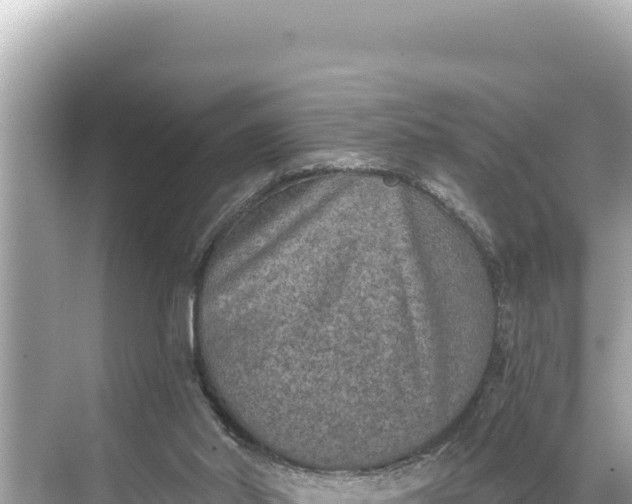 X0000068260014200605051801