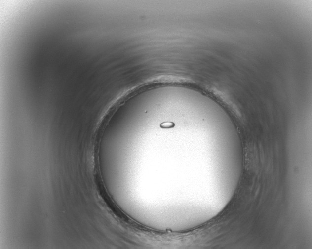 X0000068260015200605051801