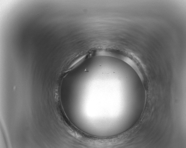 X0000068260017200605051801