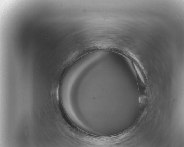 X0000068260019200605051801