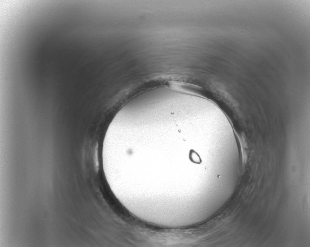 X0000068260020200605051801