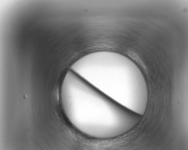 X0000068260021200605051801