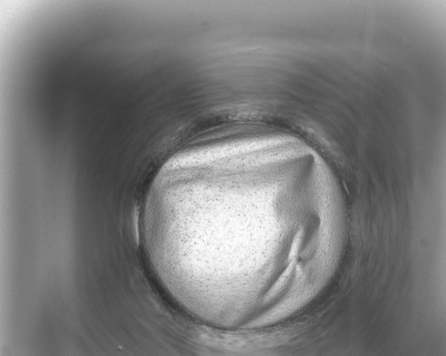 X0000068260022200605051801