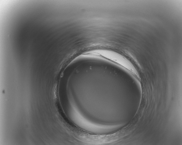 X0000068260023200605051801