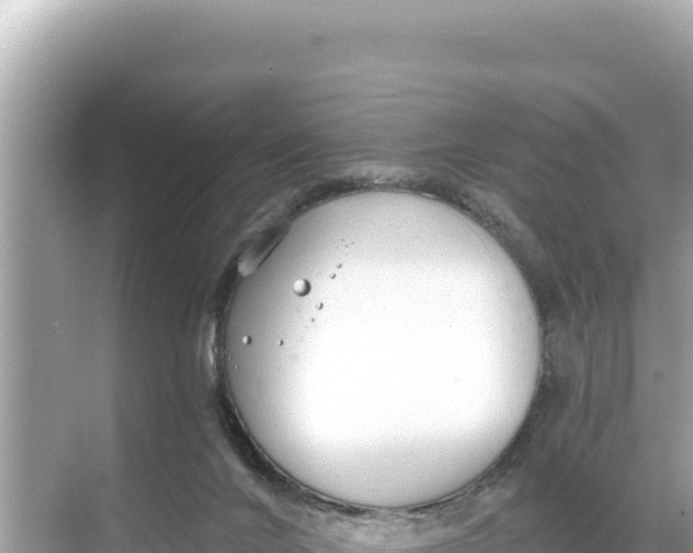 X0000068260024200605051801