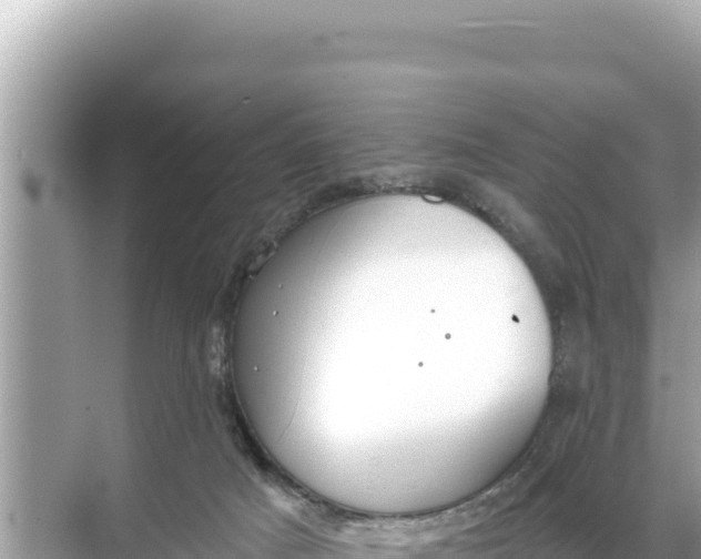 X0000068260025200605051801