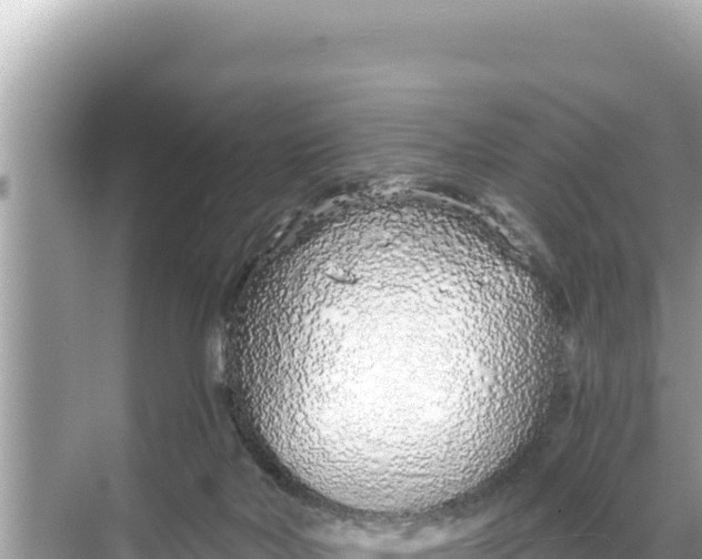 X0000068260026200605051801