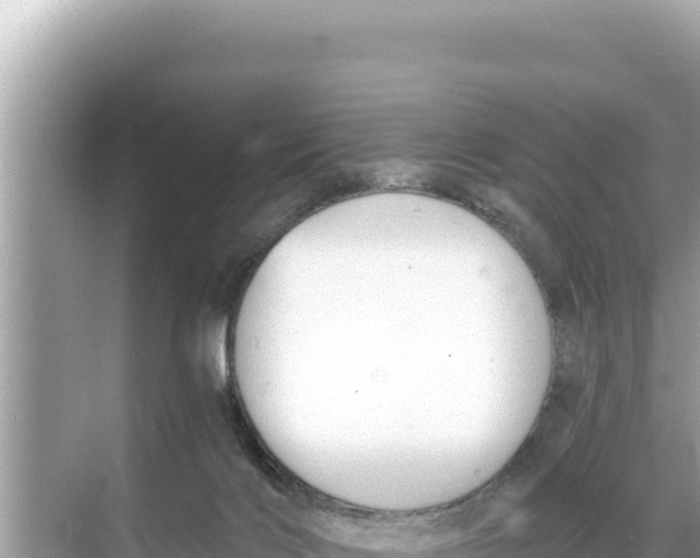 X0000068260028200605051801