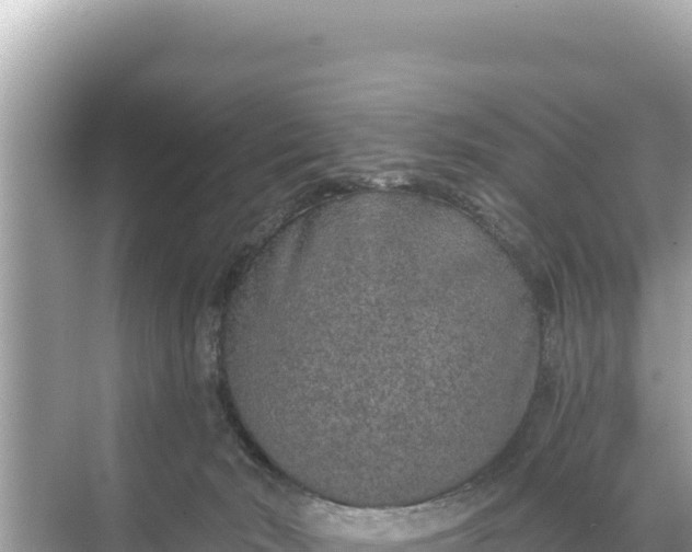 X0000068260030200605051800