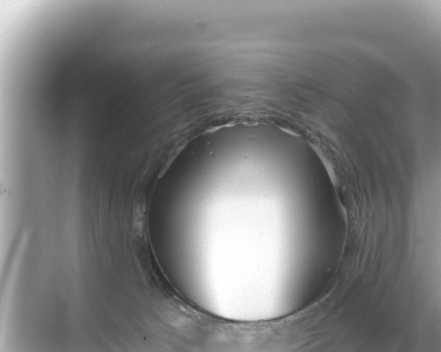 X0000068260033200605051800