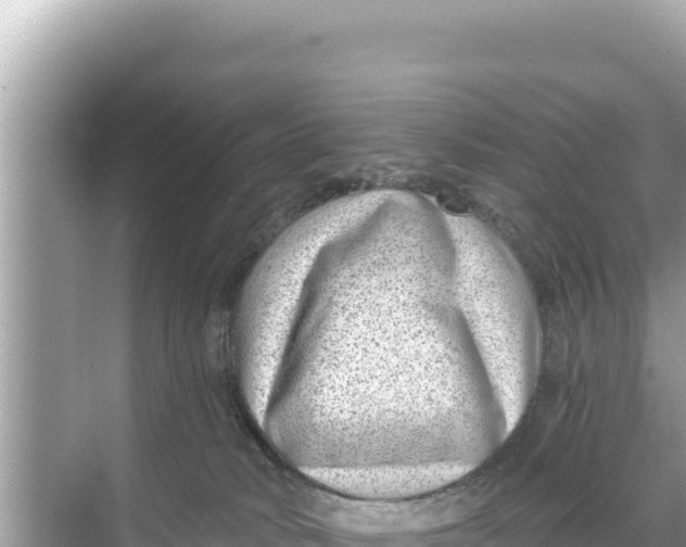 X0000068260034200605051800