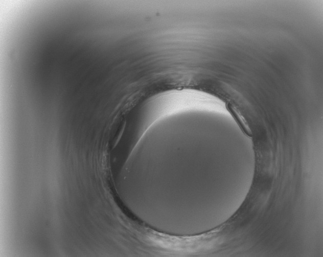 X0000068260035200605051800