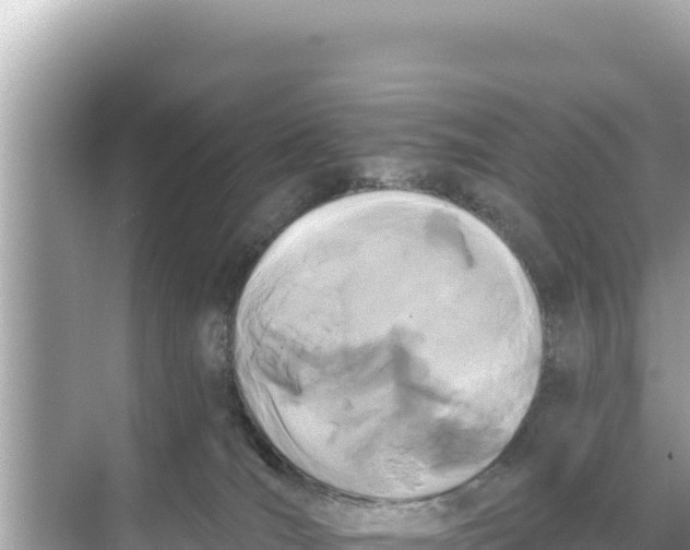 X0000068260036200605051800