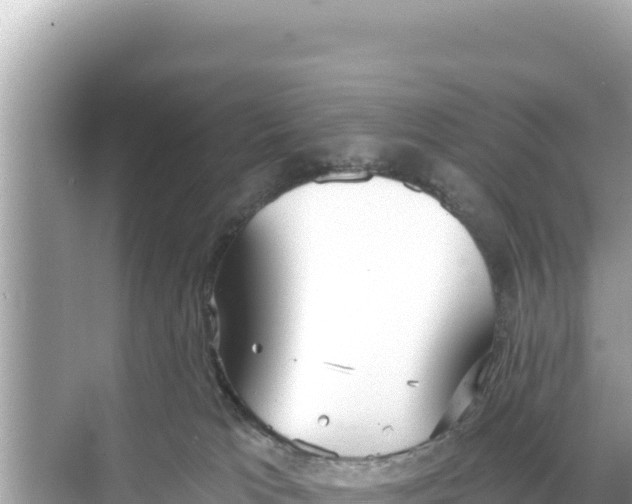 X0000068260037200605051800