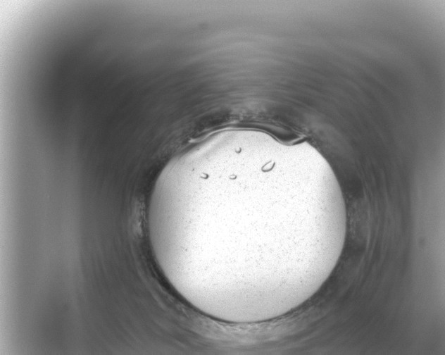 X0000068260038200605051800