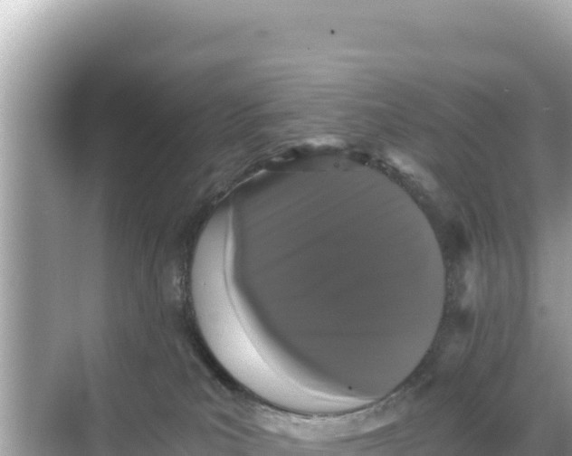 X0000068260039200605051800