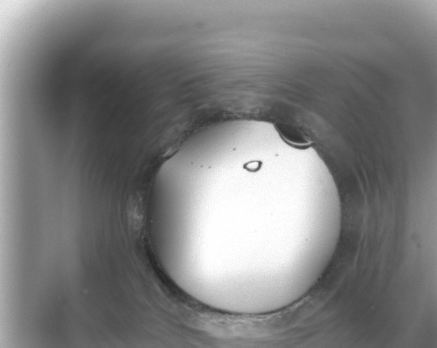 X0000068260040200605051800