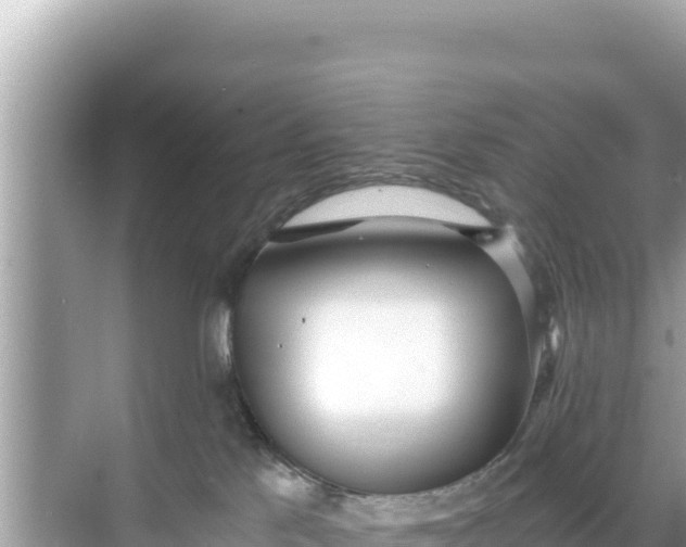 X0000068260041200605051800