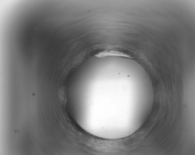 X0000068260044200605051800