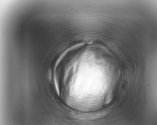 X0000068260046200605051800