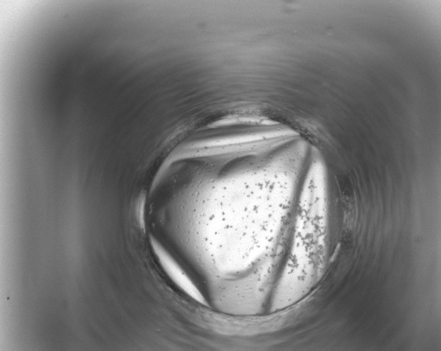 X0000068260047200605051800