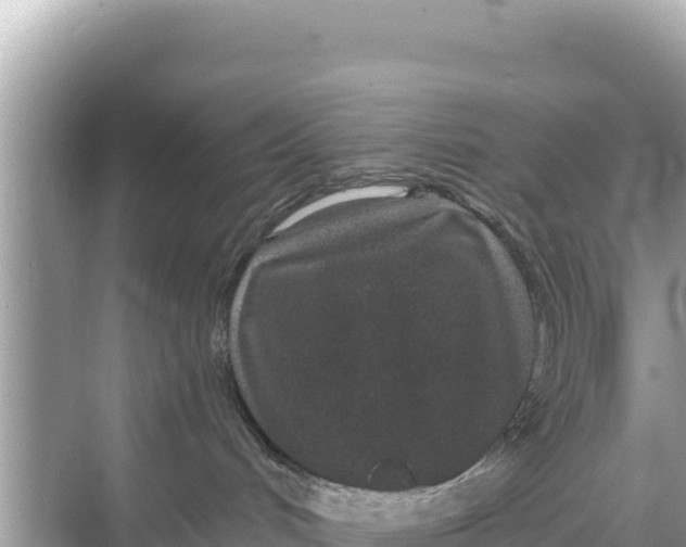 X0000068260048200605051800