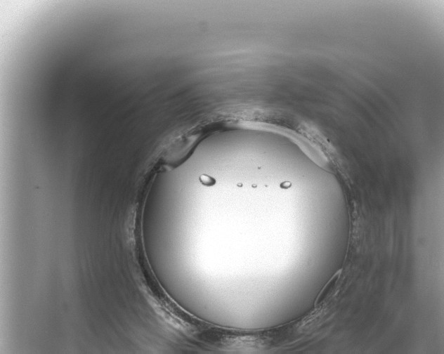 X0000068260058200605051800