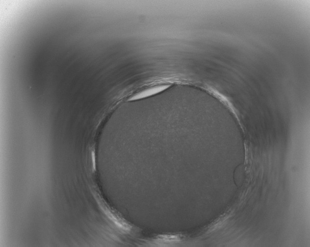 X0000068260061200605051800