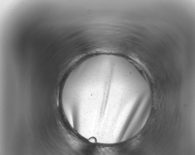 X0000068260062200605051800