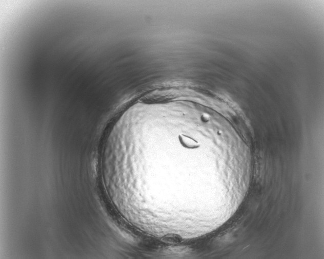 X0000068260063200605051800