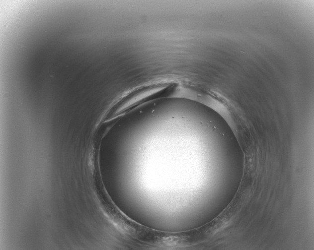 X0000068260064200605051800