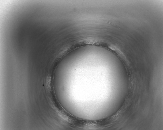 X0000068260066200605051800