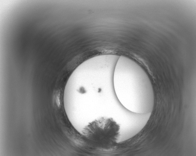 X0000068260069200605051800