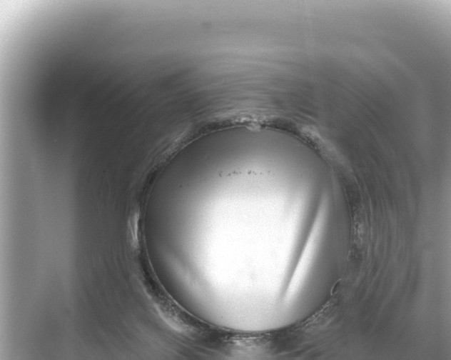 X0000068260070200605051800