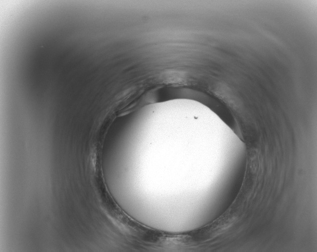 X0000068260072200605051800