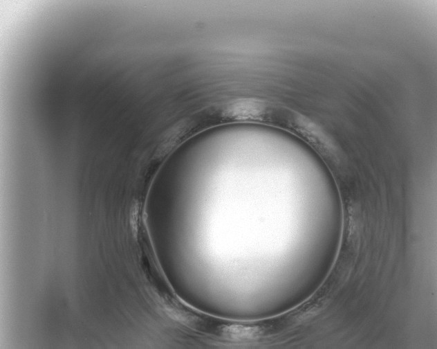 X0000068260073200605051800