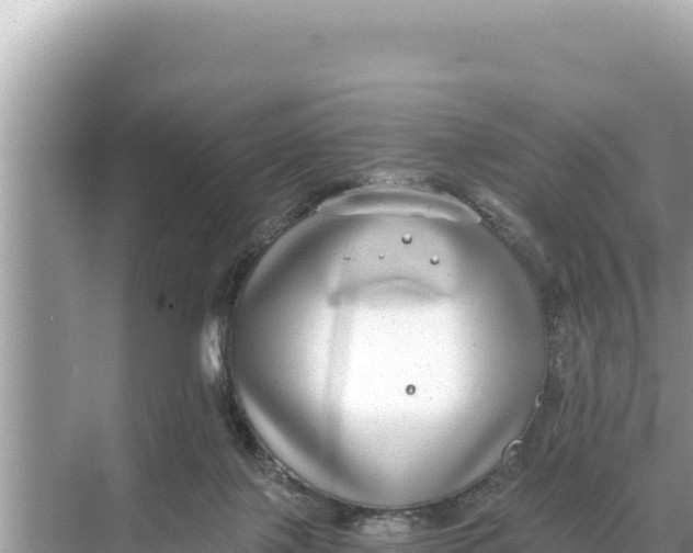 X0000068260075200605051800