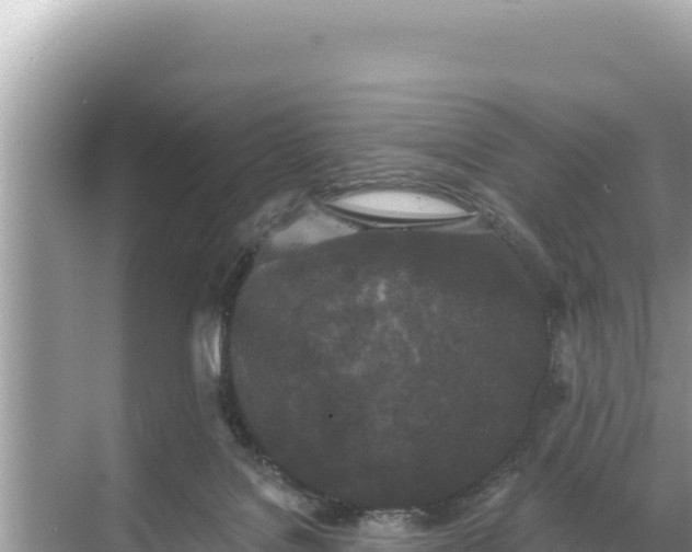 X0000068260076200605051800