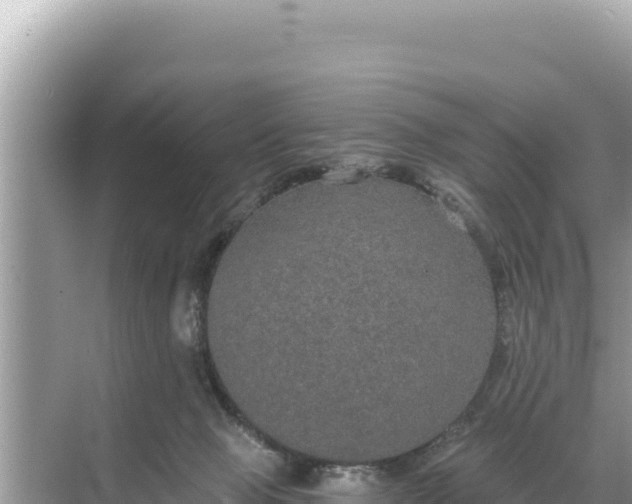 X0000068260077200605051800