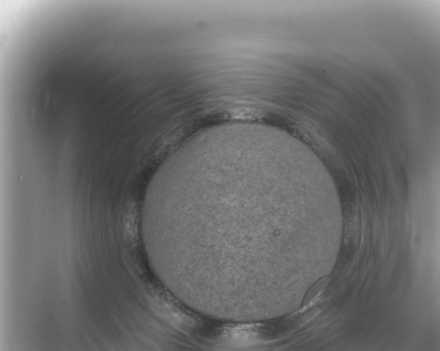 X0000068260078200605051800