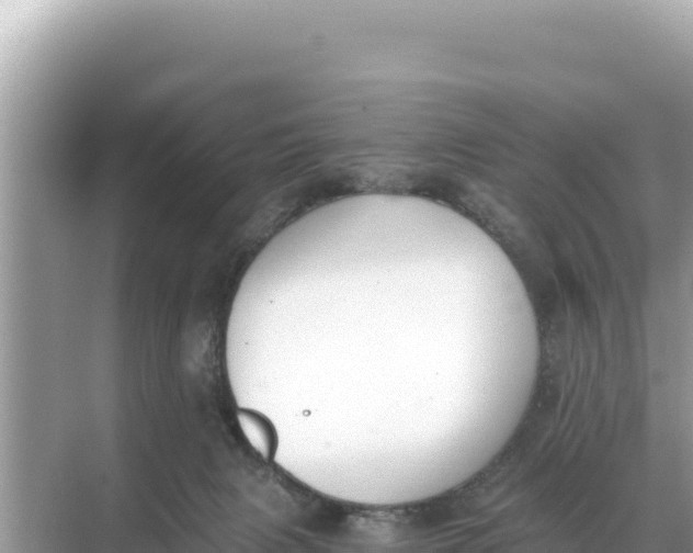 X0000068260079200605051800