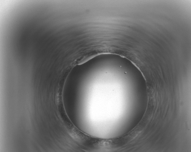 X0000068260080200605051800