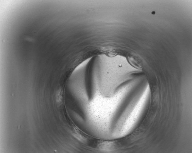 X0000068260081200605051800