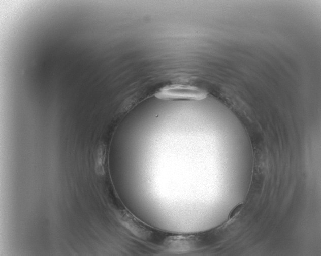 X0000068260082200605051800