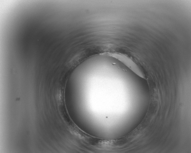 X0000068260084200605051800